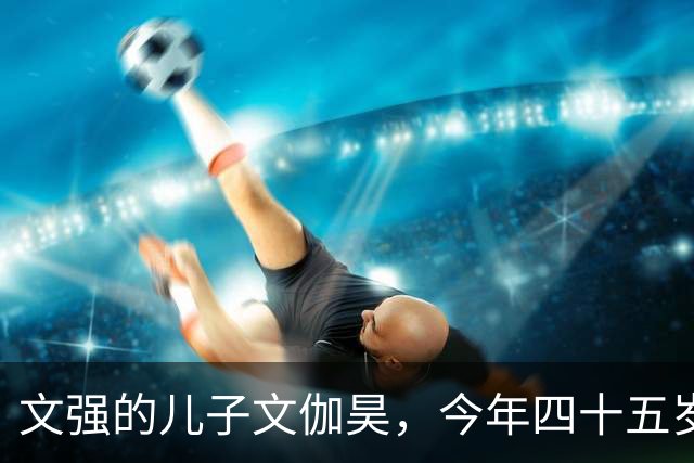 文强的儿子文伽昊，今年四十五岁了，定居在重庆，早已撕掉了