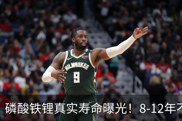 磷酸铁锂真实寿命曝光！8-12年不是标配，全看你怎么造