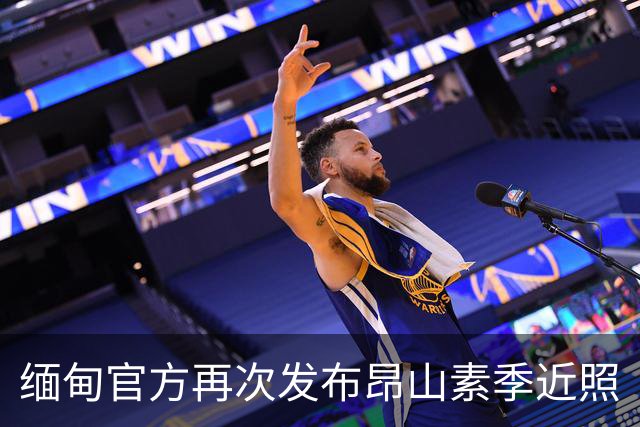 缅甸官方再次发布昂山素季近照