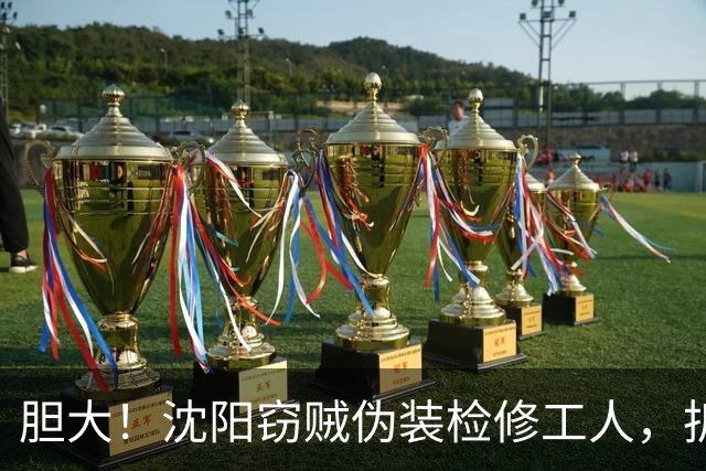 胆大！沈阳窃贼伪装检修工人，拆走楼道供暖管件，20万设备被盗