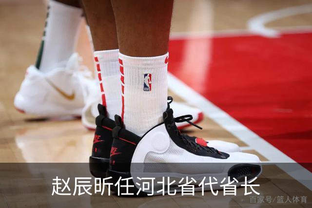 赵辰昕任河北省代省长