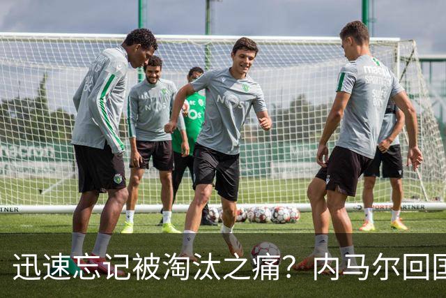 迅速忘记被淘汰之痛？内马尔回国开派对遭球迷批评