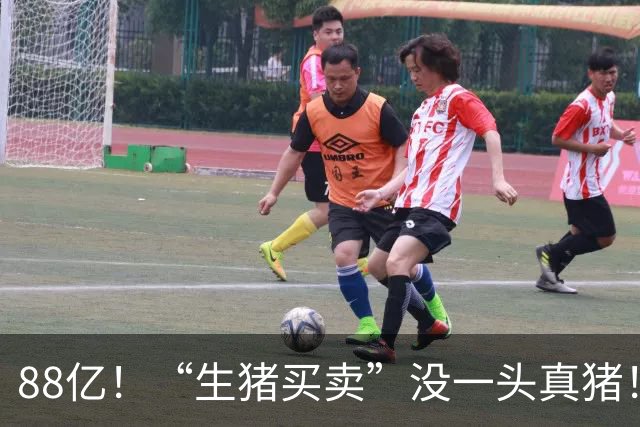 88亿！“生猪买卖”没一头真猪！空手套白狼，国企巨款全被挪走？